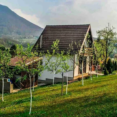 Vacation Nelly Bihać